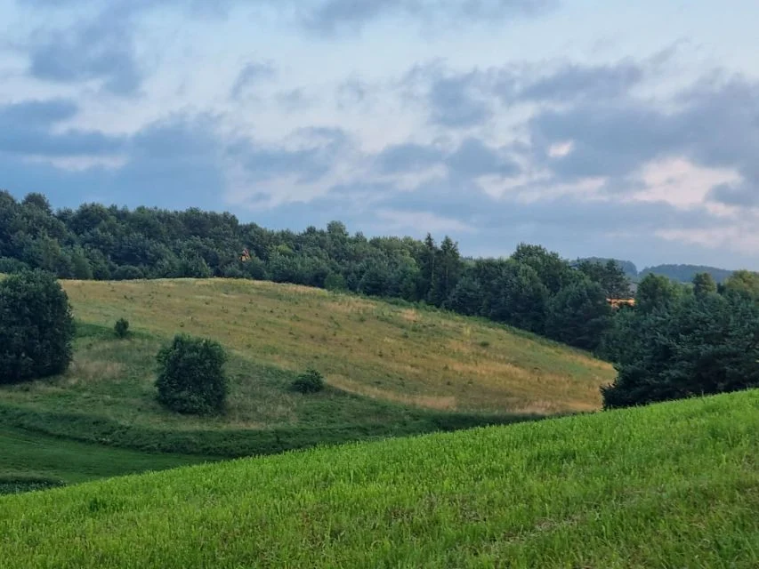 DZIAŁKA WIDOKOWA 9 999 m² | NOWA WIEŚ PRZYWIDZKA | NR 98/44